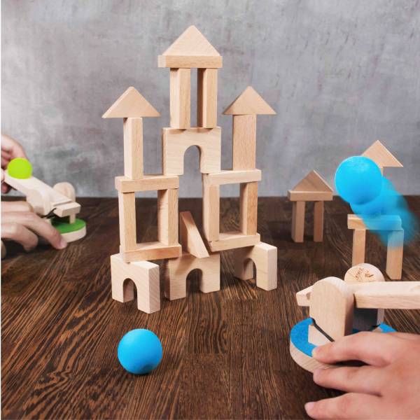 CARPENTER Catapult Game